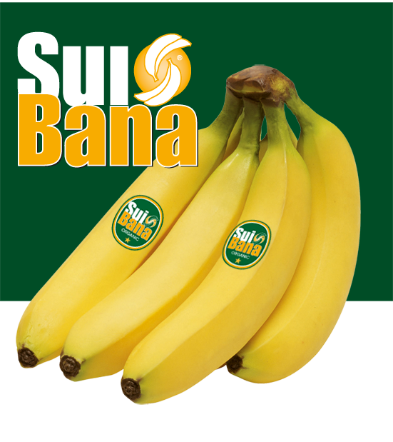 Bananas small ok